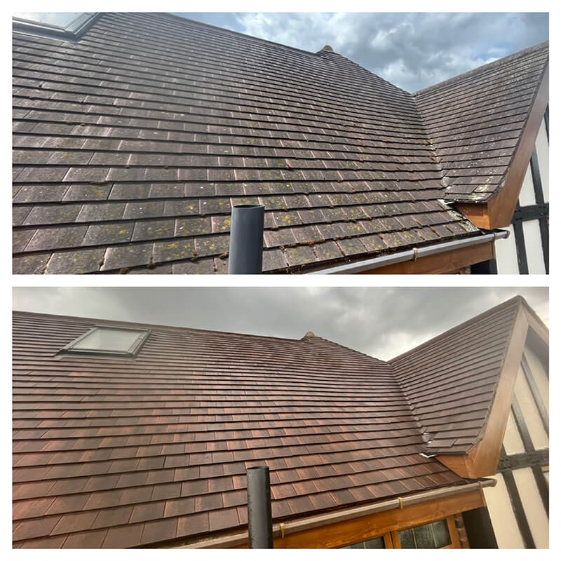 Roof Cleaning